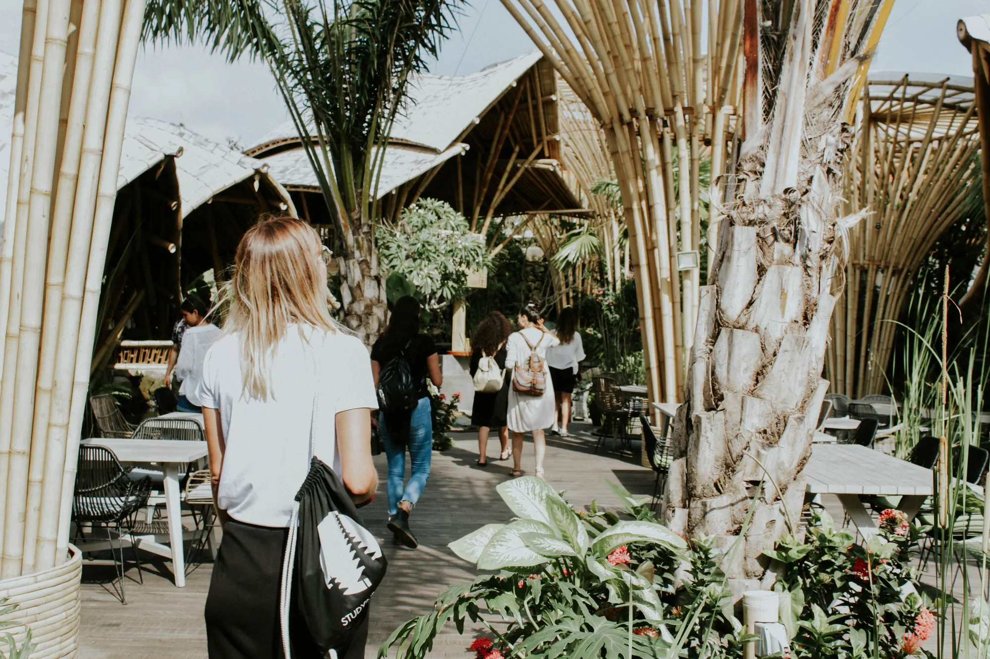 Student walking through a bamboo complex