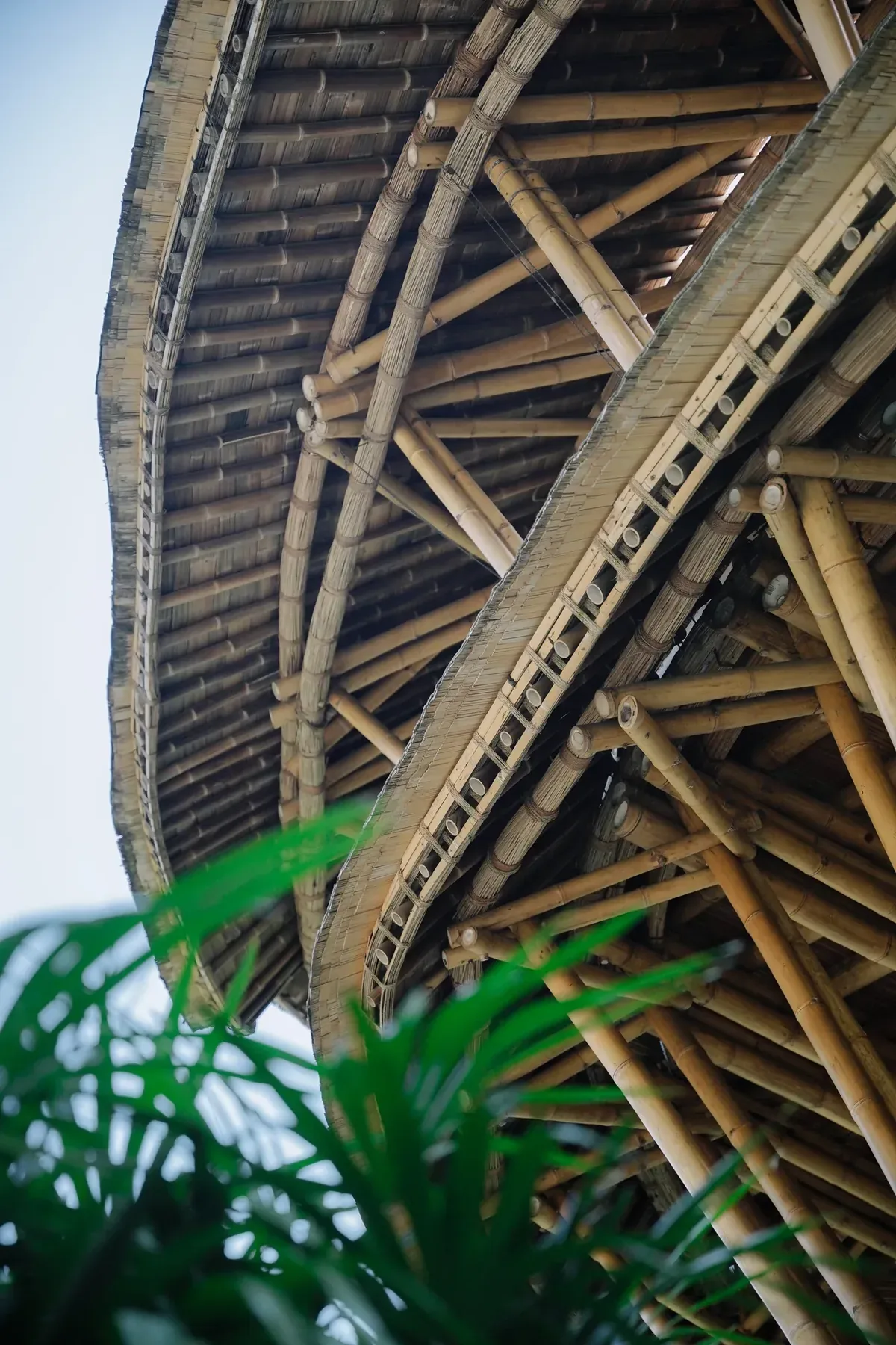 Bamboo construction tour