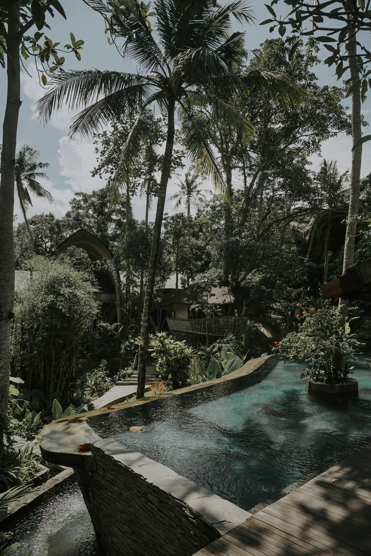 Tropical Architecture Summer School returns in July 2027